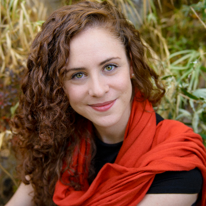 NaNoWriMo for publishing folk