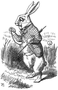 The Rabbit stands on his hind legs in a field of grass and flowers. He is wearing a smart, chequered jacket over a waistcoat. An umbrella is tucked under his crooked left arm. His long ears are pointed back, and his eyes are wide with concern as he looks at the time. His pocket-watch is attached to his waistcoat by a long chain.